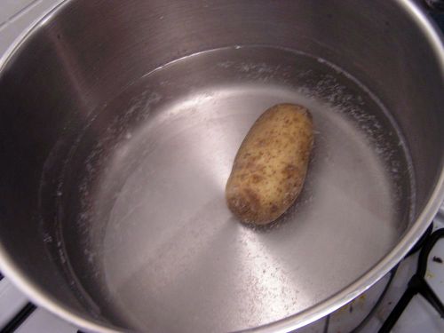 greatpotatocontest 09