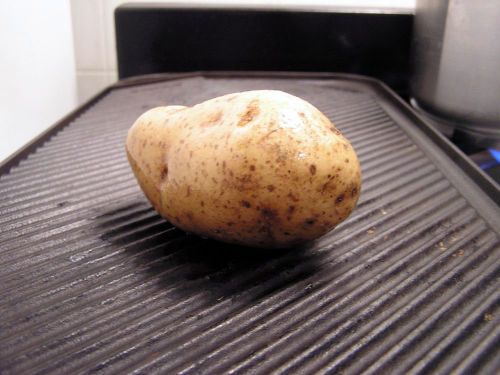 greatpotatocontest 13