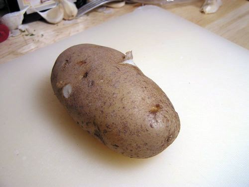 greatpotatocontest 29