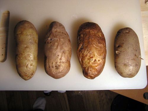 greatpotatocontest 38