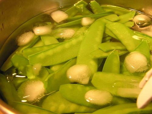 shrimpsnowpeas08