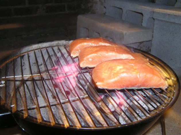 grilledsalmon06