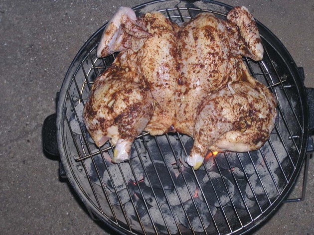 mexicangrilledchicken08