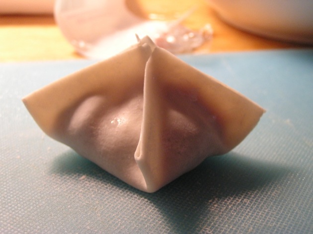 wonton08