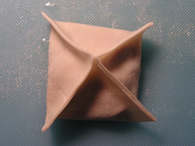 wonton09