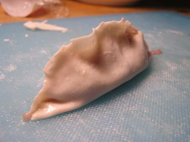 wonton12