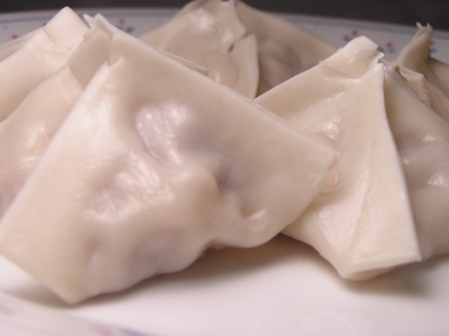 wonton14