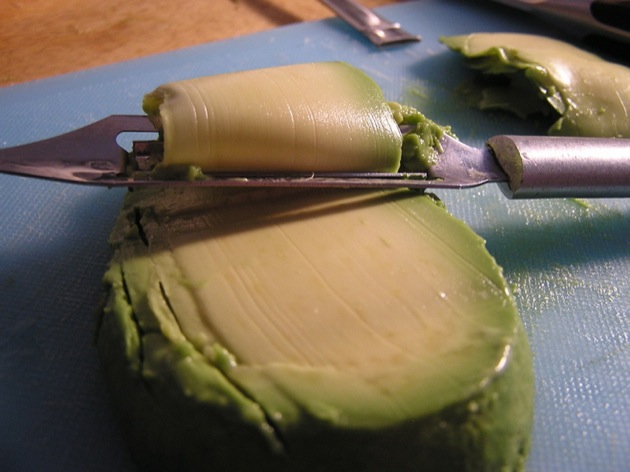 zucchini 07