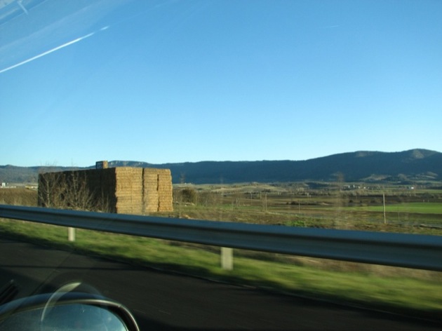 sansebastian02