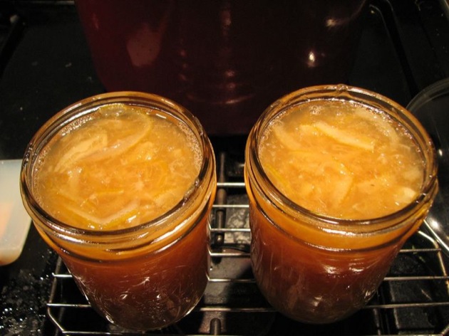 meyerlemonmarmalade7