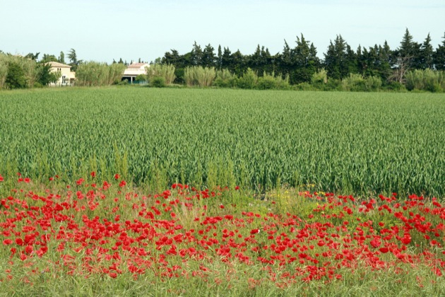 provence2