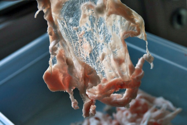 pork rillettes 5