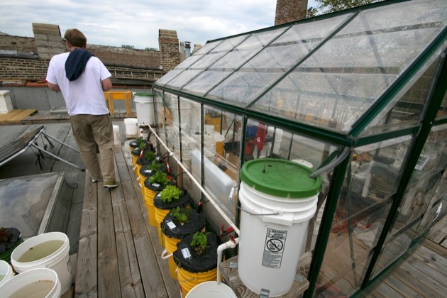 chicago rooftop garden 4